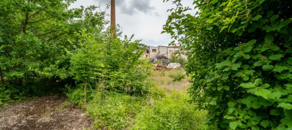 Gewerbliche Immobilie in Ludwigslust-Parchim, Germany, Nr. 139321 4