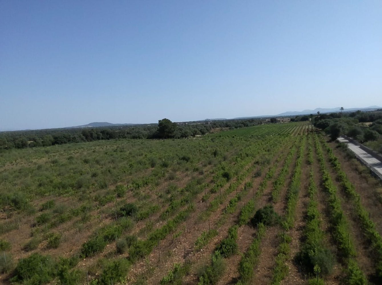 Земельный участок в Порререс, Испания № 155632