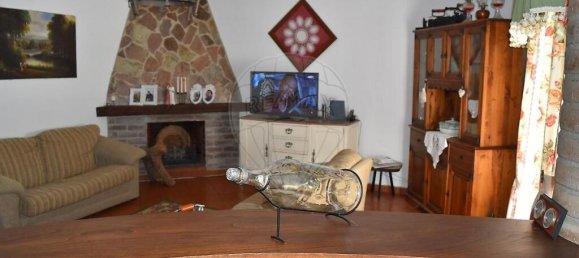 3 غرف نوم فيلا في Alcacer do Sal, Portugal رقم 173686 17