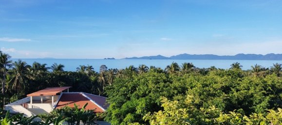 2 bedrooms Cafe / restaurant in Ko Samui, Thailand No. 6576 2