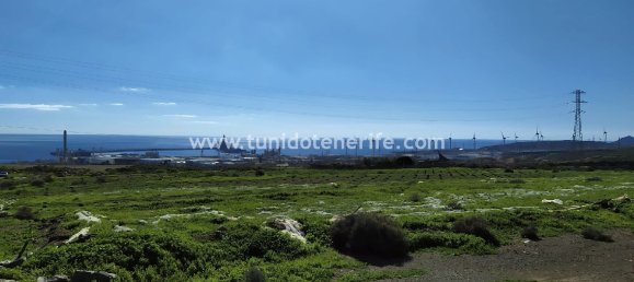 Grundstück in Granadilla de Abona, Spain 44400m², Nr. 748 4