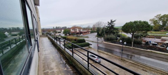 6 rooms Building in Pomezia, Italy No. 62466 50