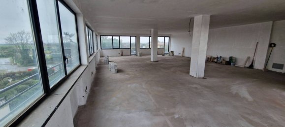 6 rooms Building in Pomezia, Italy No. 62466 43