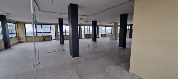 6 rooms Building in Pomezia, Italy No. 62466 33