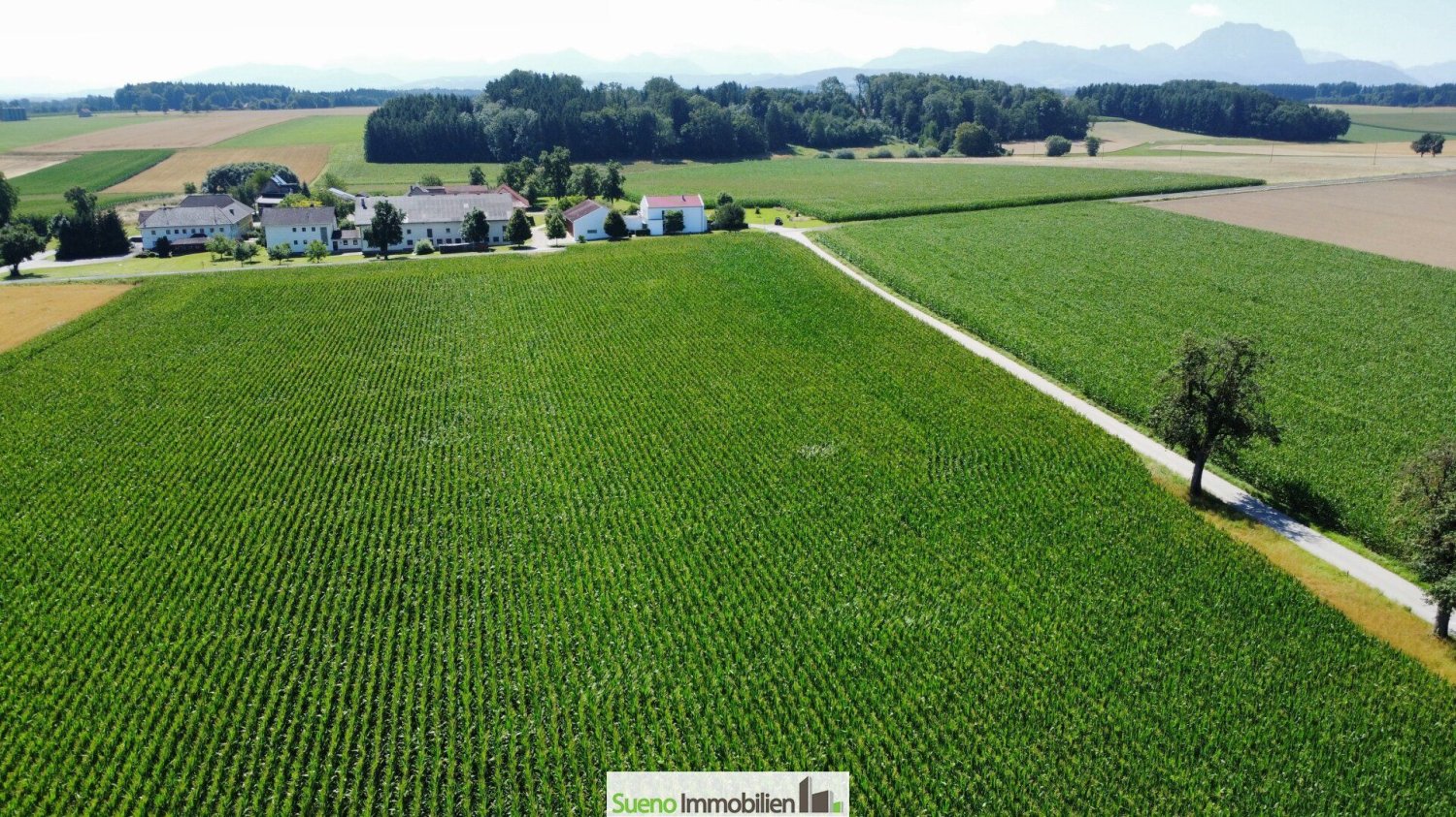 Коммерческая недвижимость в Бад Вимсбах-Нейдхартинг, Австрия № 218501
