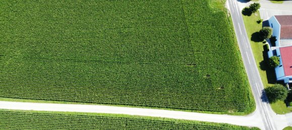 Коммерческая недвижимость в Бад Вимсбах-Нейдхартинг, Австрия № 218501 2