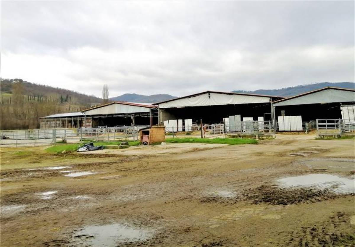 Studio in Umbertide, Italy No. 1437