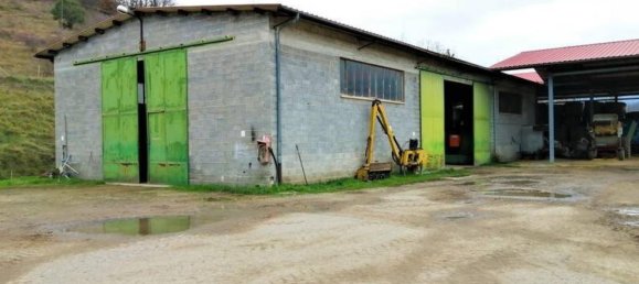 Studio in Umbertide, Italy No. 1437 4