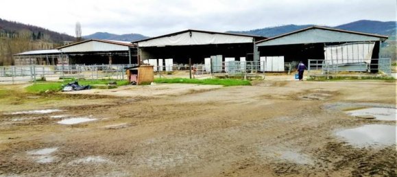 Studio in Umbertide, Italy No. 1437 2