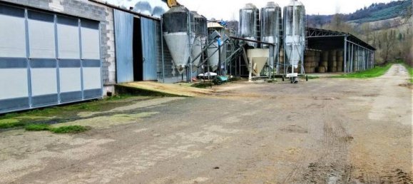 Studio in Umbertide, Italy No. 1437 6