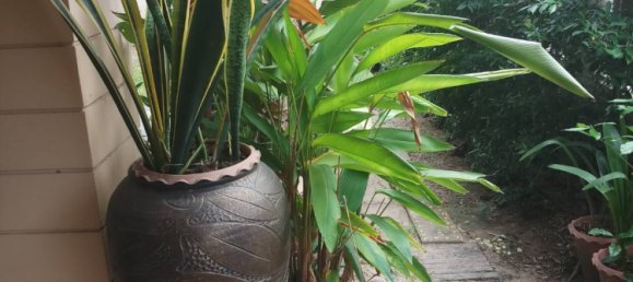 3 bedrooms Cafe / restaurant in Pattaya, Thailand No. 1193 11