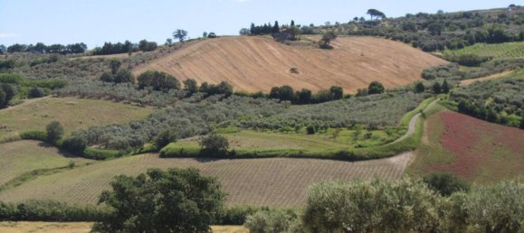 قطعة أرض في Guglionesi, Italy 16500متر مربع رقم 85625 5