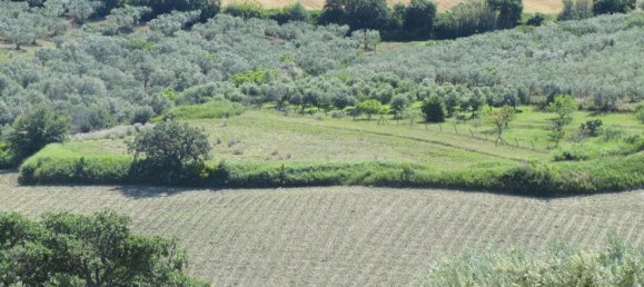 قطعة أرض في Guglionesi, Italy 16500متر مربع رقم 85625 9