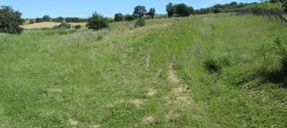 قطعة أرض في Guglionesi, Italy 16500متر مربع رقم 85625 7