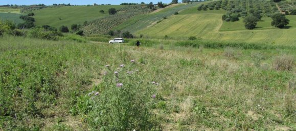 قطعة أرض في Guglionesi, Italy 16500متر مربع رقم 85625 2