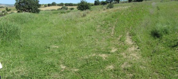 قطعة أرض في Guglionesi, Italy 16500متر مربع رقم 85625 3