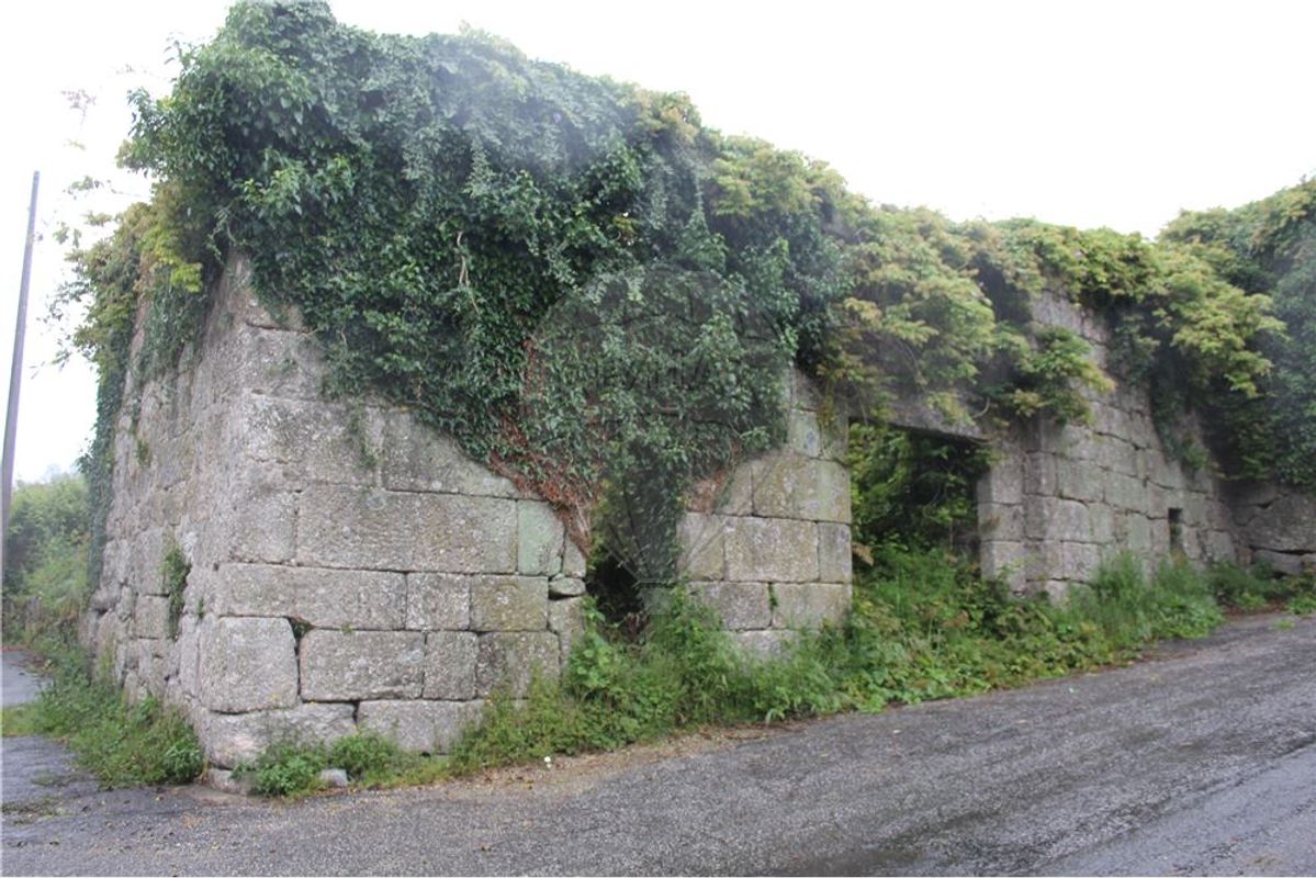 3 bedrooms House in Travassos, Portugal No. 42572