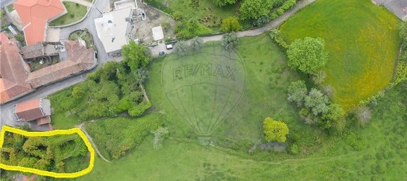 3 bedrooms House in Travassos, Portugal No. 42572 3