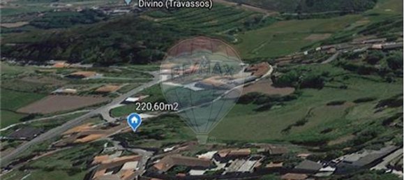 3 bedrooms House in Travassos, Portugal No. 42572 5