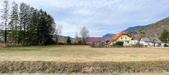 3غرفة منزل في Payerbach, Austria رقم 220053 24