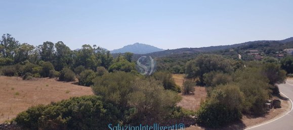 Villa de 5 habitaciónes en Arzachena, Italy No. 153466 9