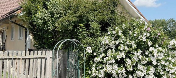 4-Zimmer Bungalow in Grieskirchen, Austria, Nr. 224700 32