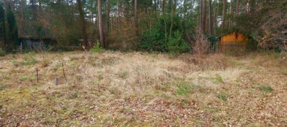 Terreno en Vorpommern-Rugen, Germany No. 259756 2