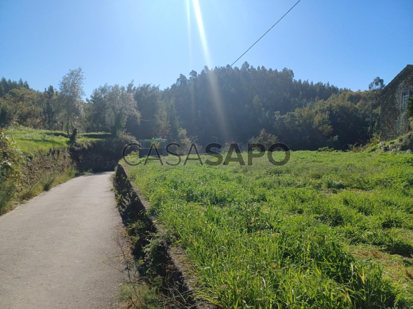  Land in Sever do Vouga, Portugal No. 260561