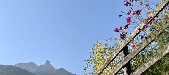 460m² Building in Saxon, Switzerland No. 95 19