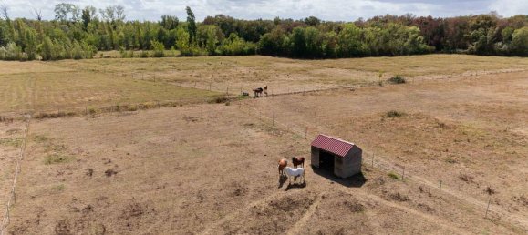 4 Schlafzimmer Schlösser in Libourne, France, Nr. 338633 4