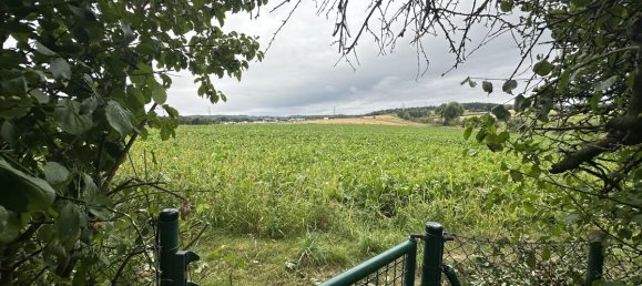 Дом с 5 комнатами в Кассель, Германия № 277509 8