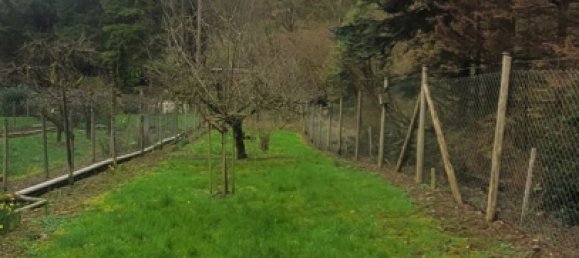 3 chambres Maison de ville à Trier-Saarburg, Germany No. 187718 3