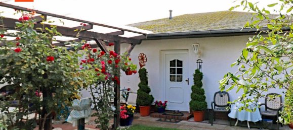 Casa de 11 divisões em Vorpommern-Greifswald, Germany N.º 196511 14