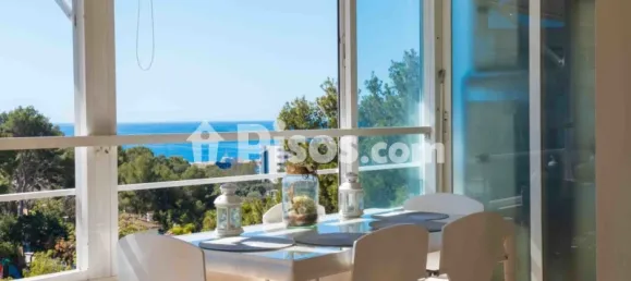 2 غرف نوم شقة في Mallorca, Spain رقم 172153 13