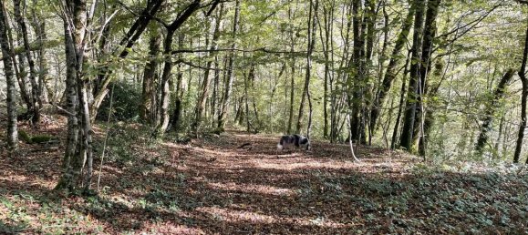 Casa T5 em Dordogne, France N.º 335429 20