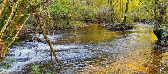 Casa T5 em Dordogne, France N.º 335429 18