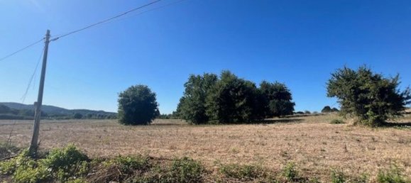 30000m² Land in Campagnano di Roma, Italy No. 260034 13