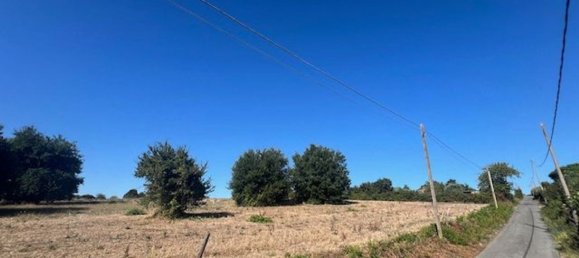 30000m² Land in Campagnano di Roma, Italy No. 260034 2