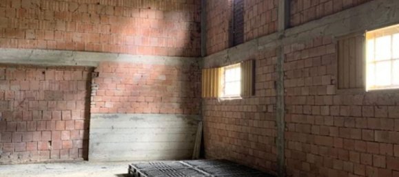 5 rooms Warehouse in Imola, Italy No. 70847 2