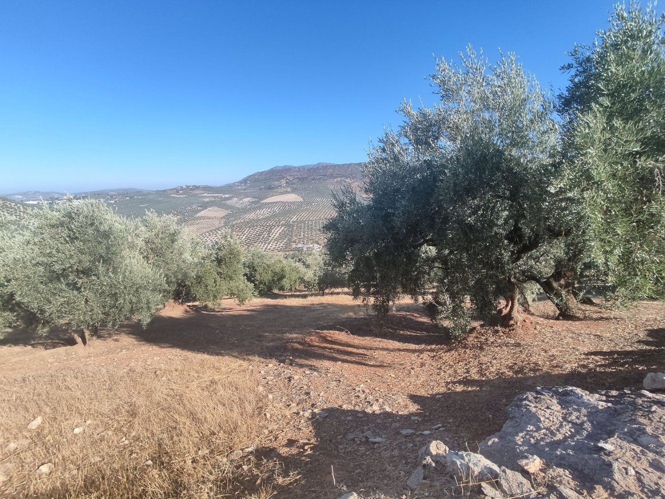  Land in Iznajar, Spain No. 254646