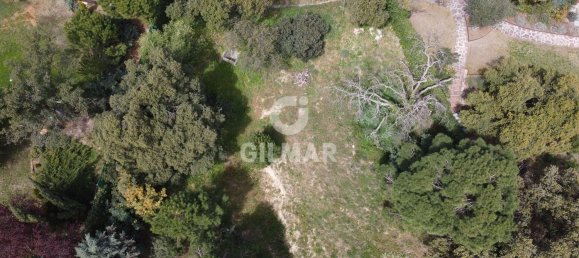  قطعة أرض في San Sebastian de los Reyes, Spain 684متر مربع رقم 84456 6