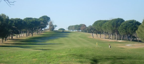  قطعة أرض في San Sebastian de los Reyes, Spain 684متر مربع رقم 84456 22