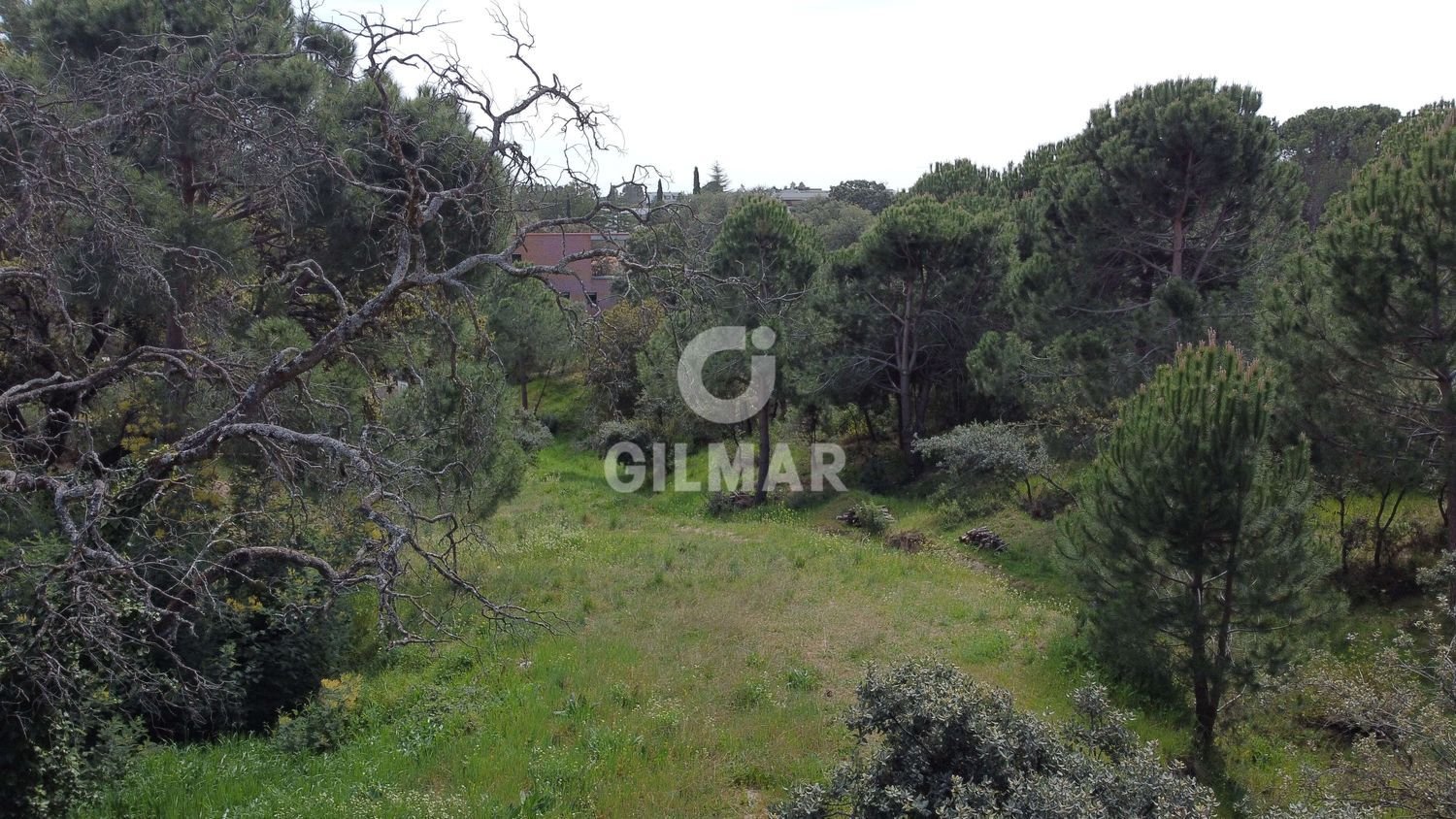  قطعة أرض في San Sebastian de los Reyes, Spain 684متر مربع رقم 84456