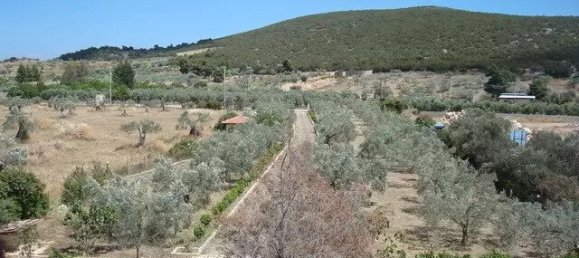 4 bedrooms Commercial property in Argolis, Greece No. 3499 15