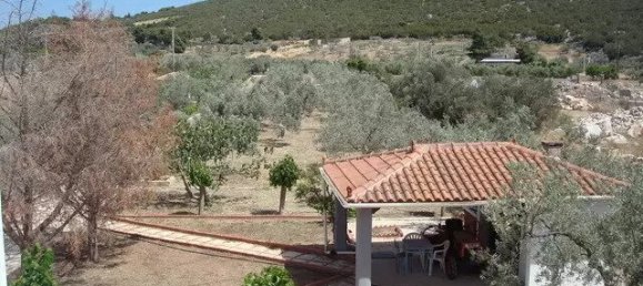 4 bedrooms Commercial property in Argolis, Greece No. 3499 19
