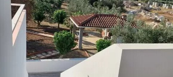 4 bedrooms Commercial property in Argolis, Greece No. 3499 12