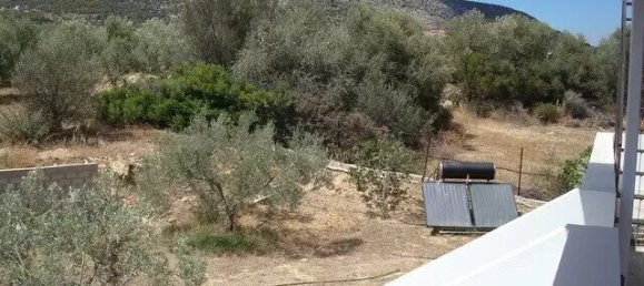 4 bedrooms Commercial property in Argolis, Greece No. 3499 17