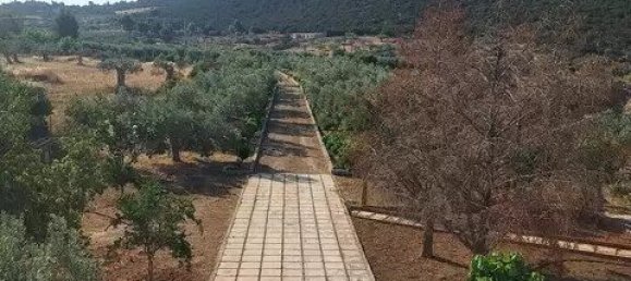 4 bedrooms Commercial property in Argolis, Greece No. 3499 11