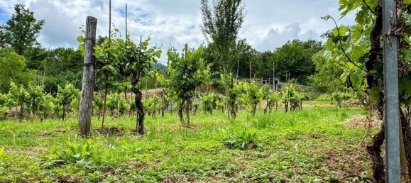 8 غرف نوم منزل في Aulla, Italy رقم 343457 17