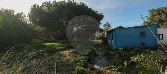 1 bedroom House in Santiago do Cacem, Portugal No. 19614 15